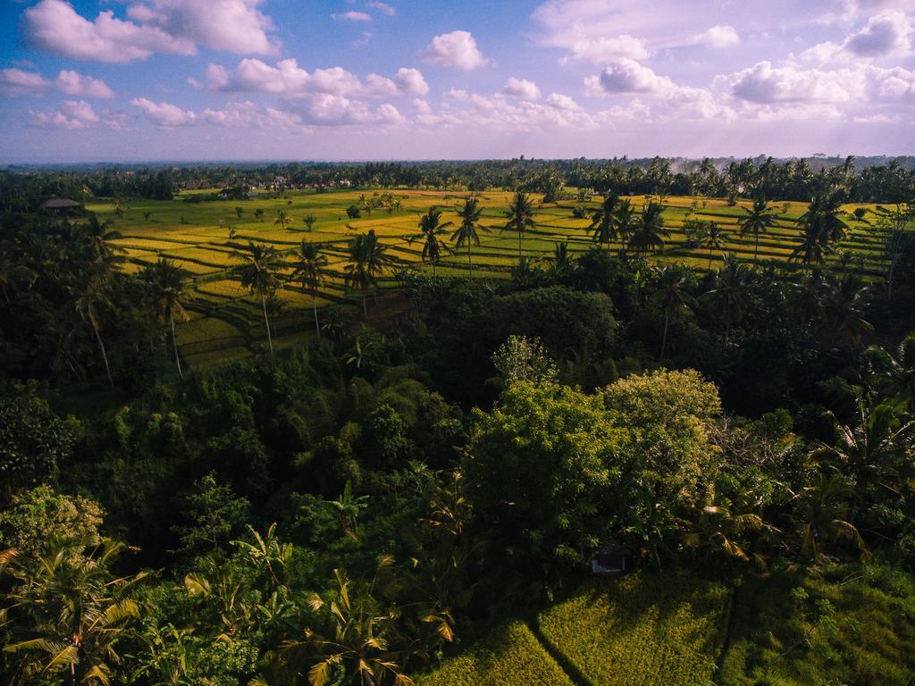 B Saya Villas Ubud Exterior foto